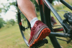 Health & Wellness Adventures